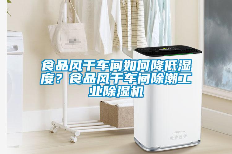 食品風干車間如何降低濕度？食品風干車間除潮工業除濕機