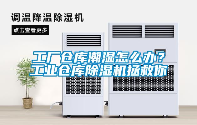 工廠倉庫潮濕怎么辦？工業倉庫除濕機拯救你