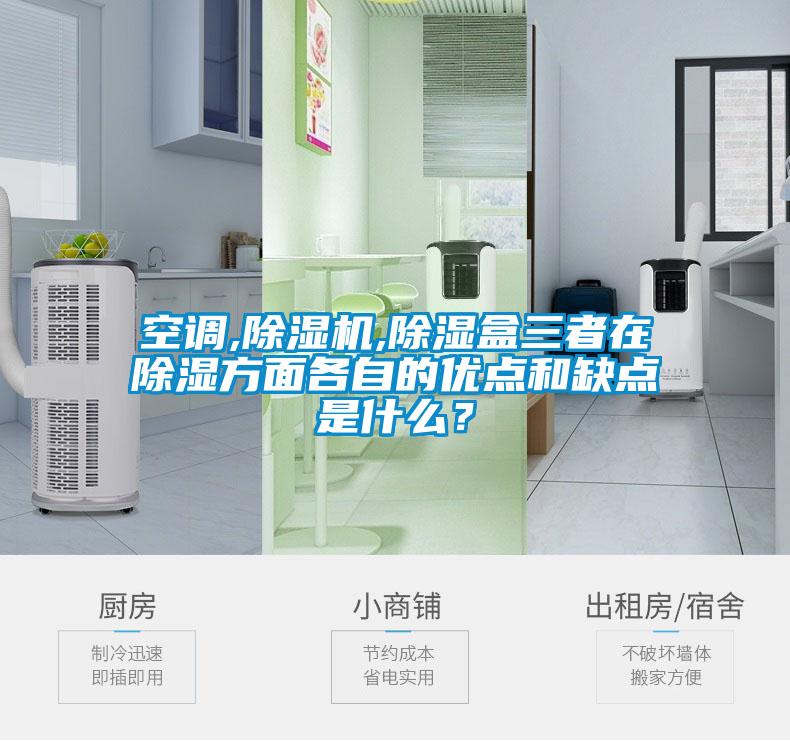 空調(diào),除濕機,除濕盒三者在除濕方面各自的優(yōu)點和缺點是什么？