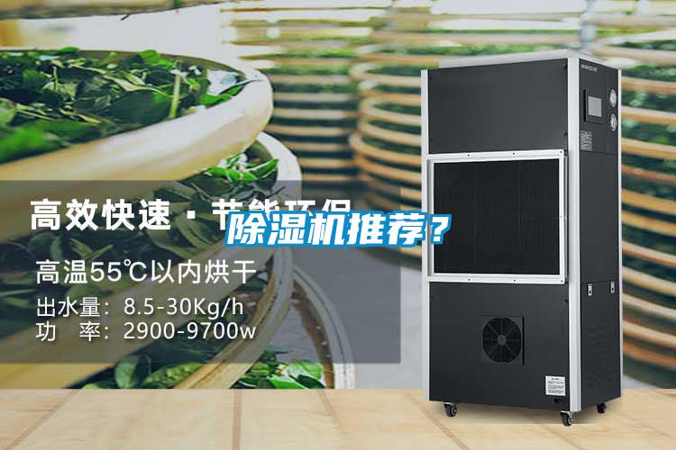 除濕機推薦？