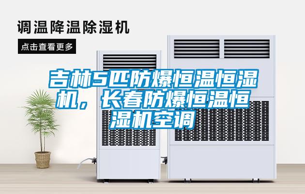 吉林5匹防爆恒溫恒濕機(jī)，長(zhǎng)春防爆恒溫恒濕機(jī)空調(diào)