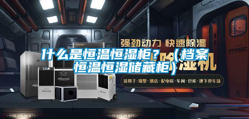 什么是恒溫恒濕柜？（檔案恒溫恒濕儲(chǔ)藏柜）