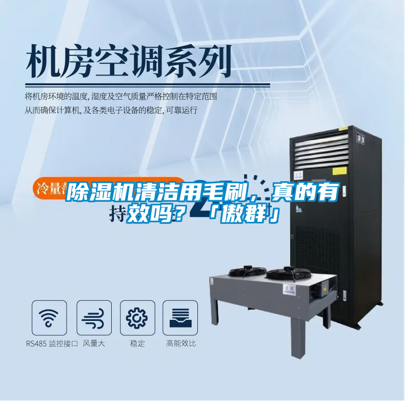 除濕機清潔用毛刷，真的有效嗎？「傲群」