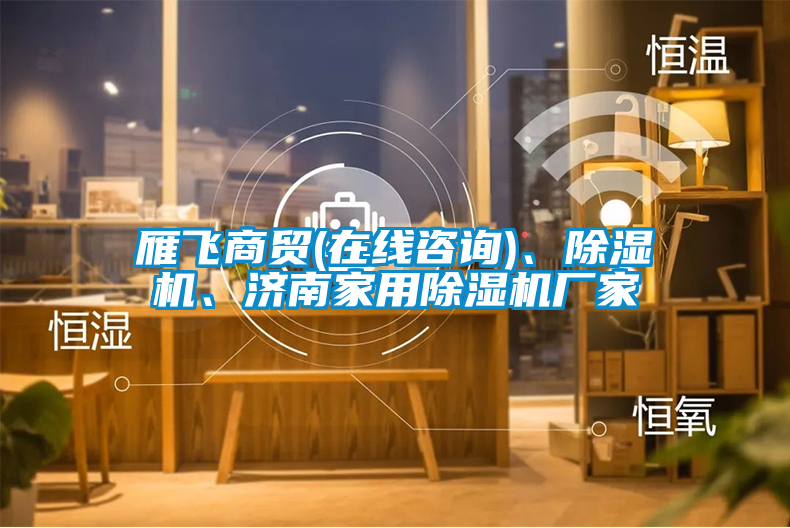 雁飛商貿(mào)(在線咨詢)、除濕機、濟南家用除濕機廠家