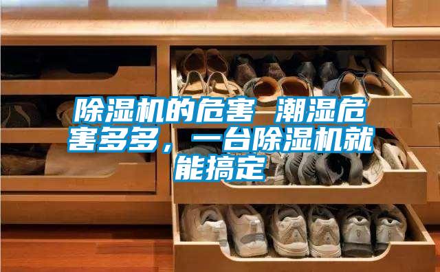 除濕機的危害 潮濕危害多多，一臺除濕機就能搞定