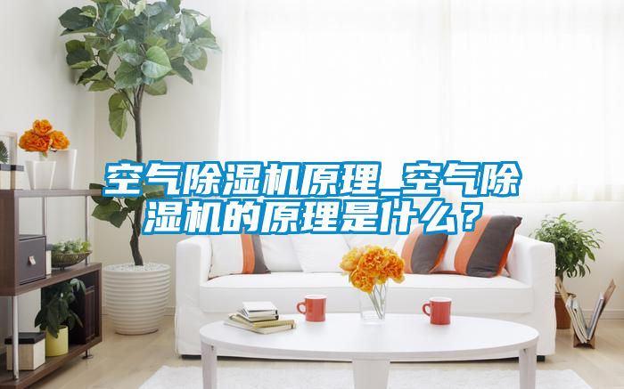 空氣除濕機原理_空氣除濕機的原理是什么？