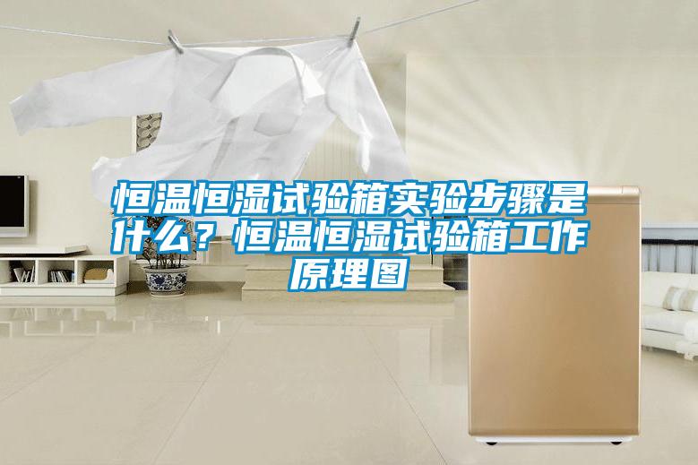 恒溫恒濕試驗箱實驗步驟是什么？恒溫恒濕試驗箱工作原理圖
