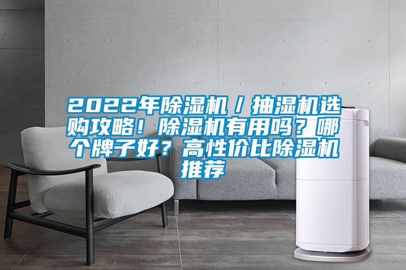 2022年除濕機(jī)／抽濕機(jī)選購攻略！除濕機(jī)有用嗎？哪個(gè)牌子好？高性價(jià)比除濕機(jī)推薦
