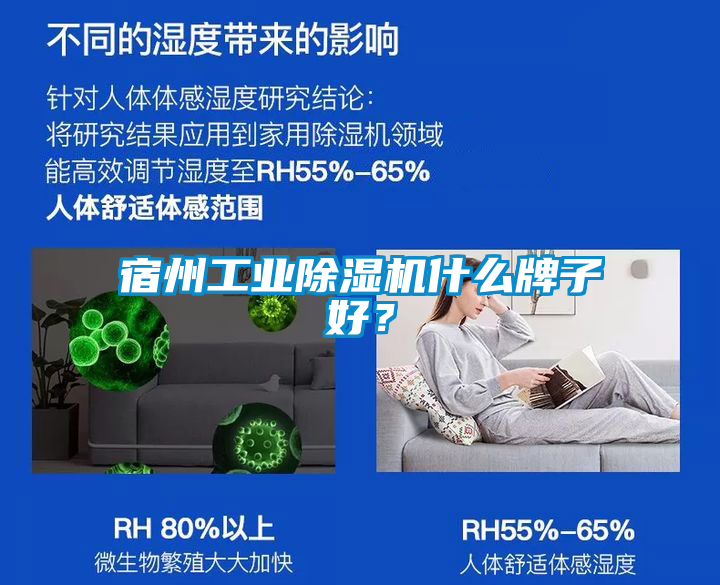 宿州工業(yè)除濕機什么牌子好？