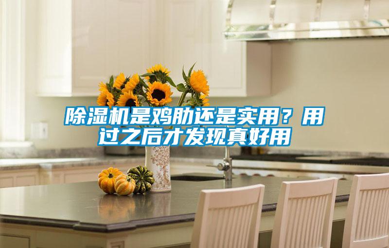 除濕機(jī)是雞肋還是實(shí)用？用過之后才發(fā)現(xiàn)真好用