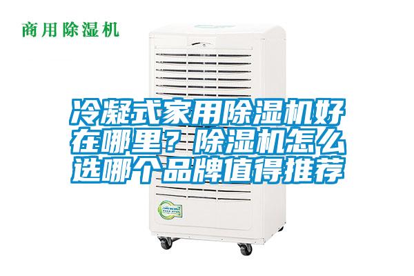 冷凝式家用除濕機好在哪里？除濕機怎么選哪個品牌值得推薦