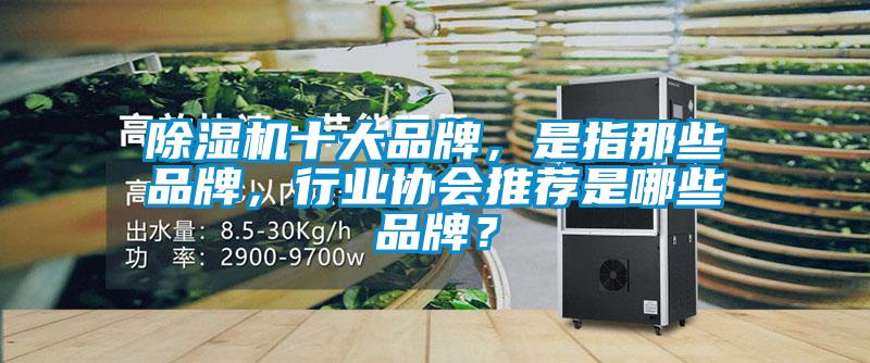 除濕機(jī)十大品牌，是指那些品牌，行業(yè)協(xié)會(huì)推薦是哪些品牌？
