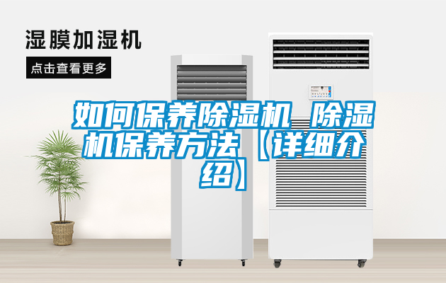 如何保養(yǎng)除濕機 除濕機保養(yǎng)方法【詳細介紹】