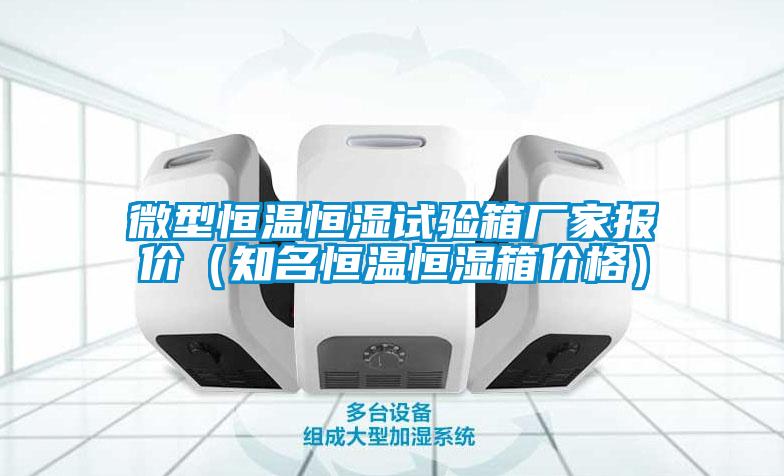 微型恒溫恒濕試驗(yàn)箱廠家報價（知名恒溫恒濕箱價格）