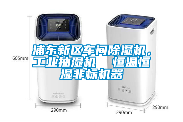 浦東新區(qū)車(chē)間除濕機(jī)，工業(yè)抽濕機(jī)  恒溫恒濕非標(biāo)機(jī)器