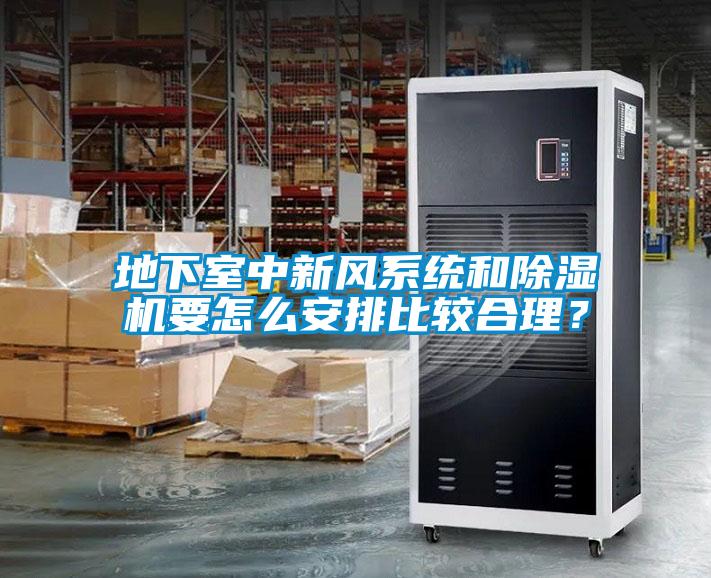 地下室中新風(fēng)系統(tǒng)和除濕機(jī)要怎么安排比較合理？