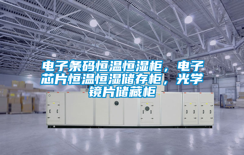 電子條碼恒溫恒濕柜，電子芯片恒溫恒濕儲存柜，光學鏡片儲藏柜