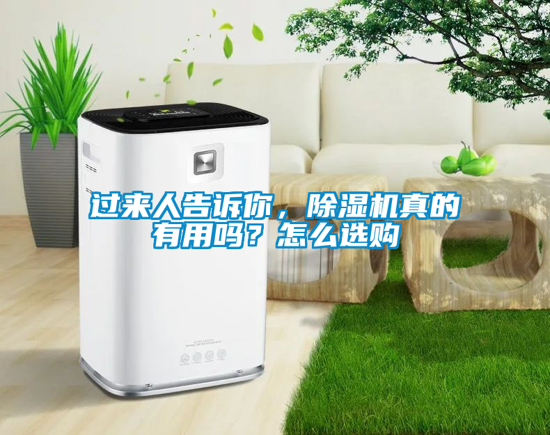 過來人告訴你，除濕機(jī)真的有用嗎？怎么選購