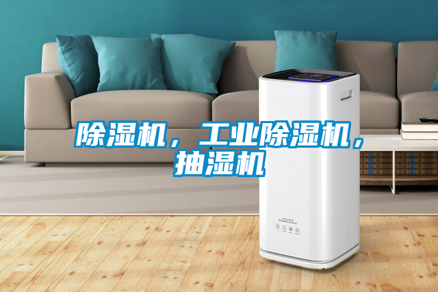 除濕機(jī)，工業(yè)除濕機(jī)，抽濕機(jī)
