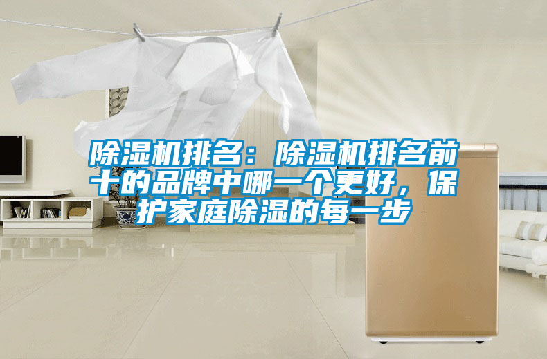 除濕機排名：除濕機排名前十的品牌中哪一個更好，保護家庭除濕的每一步