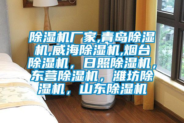 除濕機廠家,青島除濕機,威海除濕機,煙臺除濕機，日照除濕機，東營除濕機，濰坊除濕機，山東除濕機
