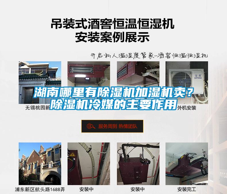 湖南哪里有除濕機(jī)加濕機(jī)賣？除濕機(jī)冷媒的主要作用