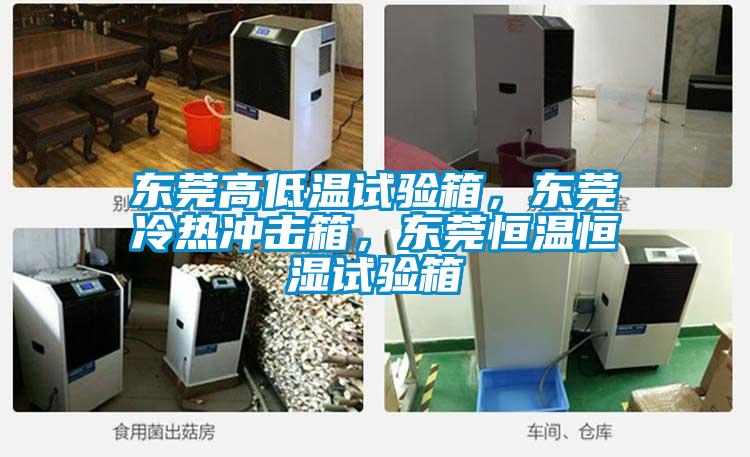 東莞高低溫試驗(yàn)箱，東莞冷熱沖擊箱，東莞恒溫恒濕試驗(yàn)箱