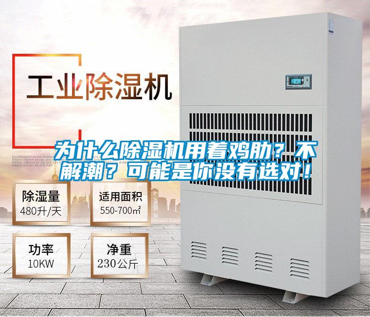 為什么除濕機用著雞肋？不解潮？可能是你沒有選對！