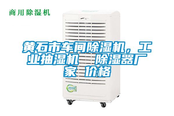 黃石市車間除濕機，工業(yè)抽濕機  除濕器廠家 價格