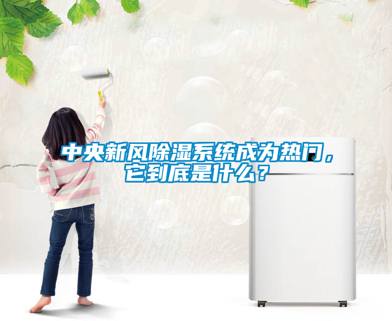 中央新風除濕系統成為熱門，它到底是什么？