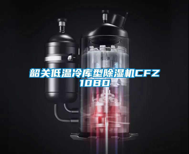 韶關(guān)低溫冷庫型除濕機CFZ10BD
