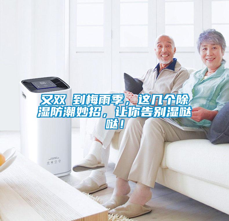 又雙叒到梅雨季，這幾個除濕防潮妙招，讓你告別濕噠噠！