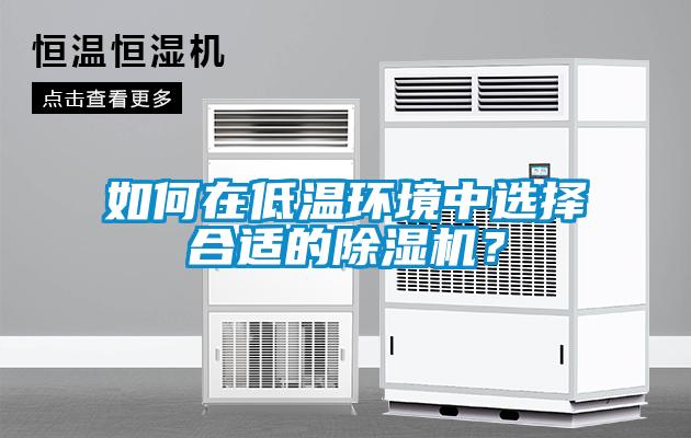 如何在低溫環境中選擇合適的除濕機？