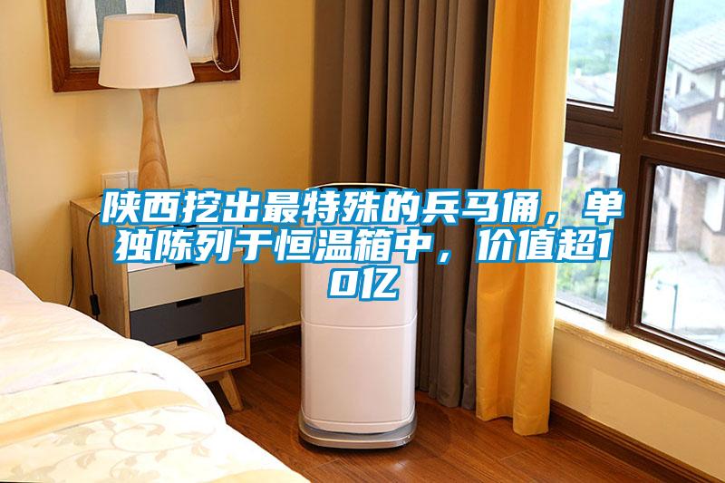 陜西挖出最特殊的兵馬俑，單獨陳列于恒溫箱中，價值超10億