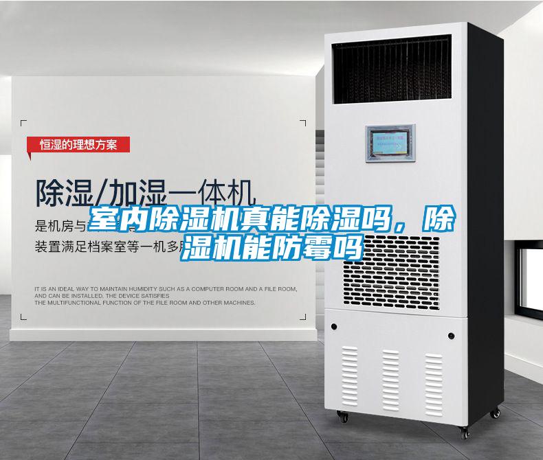 室內(nèi)除濕機(jī)真能除濕嗎，除濕機(jī)能防霉嗎