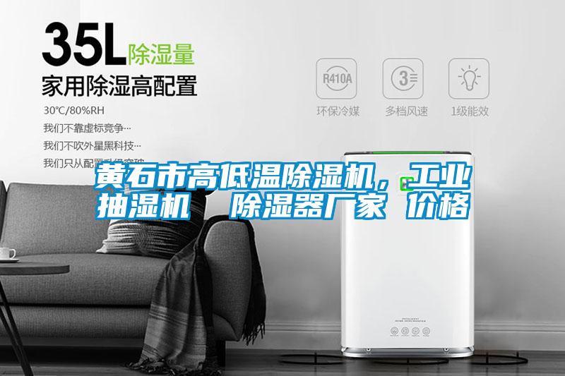 黃石市高低溫除濕機，工業(yè)抽濕機  除濕器廠家 價格