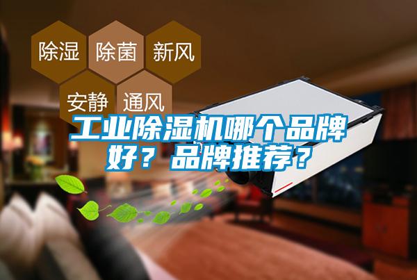 工業(yè)除濕機(jī)哪個品牌好？品牌推薦？