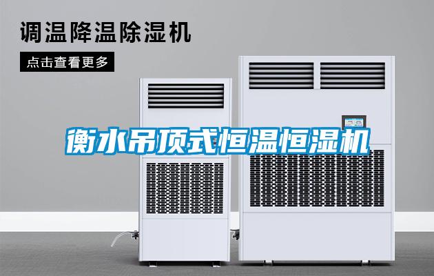 衡水吊頂式恒溫恒濕機(jī)