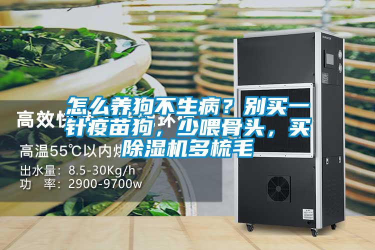 怎么養(yǎng)狗不生病？別買一針疫苗狗，少喂骨頭，買除濕機(jī)多梳毛