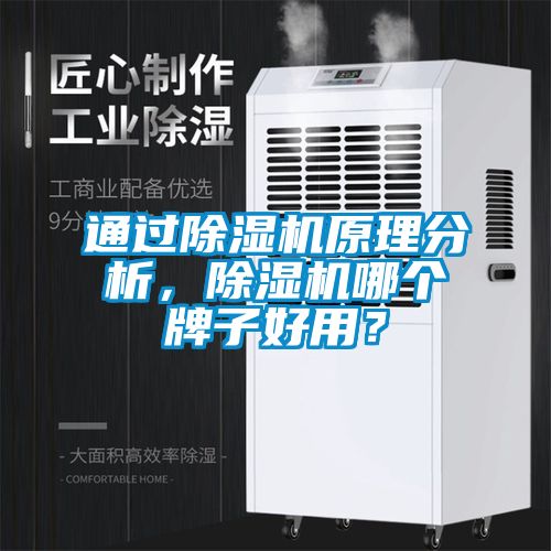 通過(guò)除濕機(jī)原理分析，除濕機(jī)哪個(gè)牌子好用？