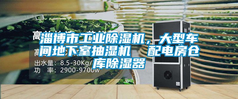 淄博市工業除濕機，大型車間地下室抽濕機  配電房倉庫除濕器