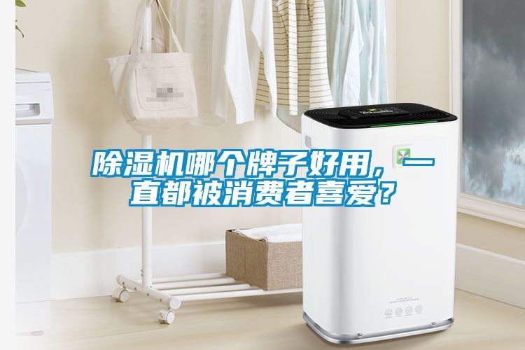 除濕機哪個牌子好用，一直都被消費者喜愛？