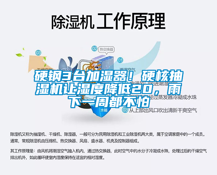 硬鋼3臺加濕器！硬核抽濕機(jī)讓濕度降低20，雨下一周都不怕