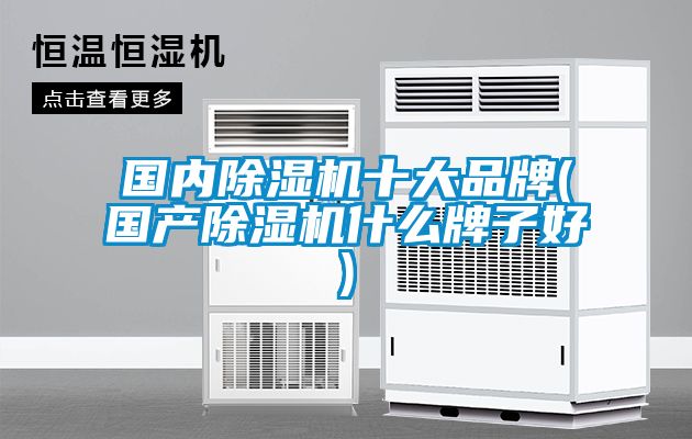 國(guó)內(nèi)除濕機(jī)十大品牌(國(guó)產(chǎn)除濕機(jī)什么牌子好)