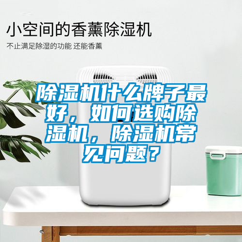 除濕機什么牌子最好，如何選購除濕機，除濕機常見問題？