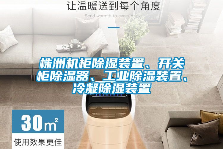 株洲機(jī)柜除濕裝置、開關(guān)柜除濕器、工業(yè)除濕裝置、冷凝除濕裝置