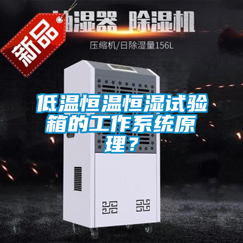 低溫恒溫恒濕試驗箱的工作系統原理？