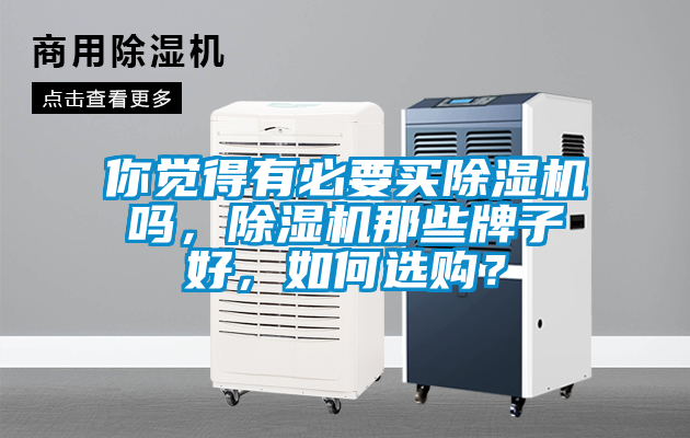 你覺得有必要買除濕機嗎，除濕機那些牌子好，如何選購？
