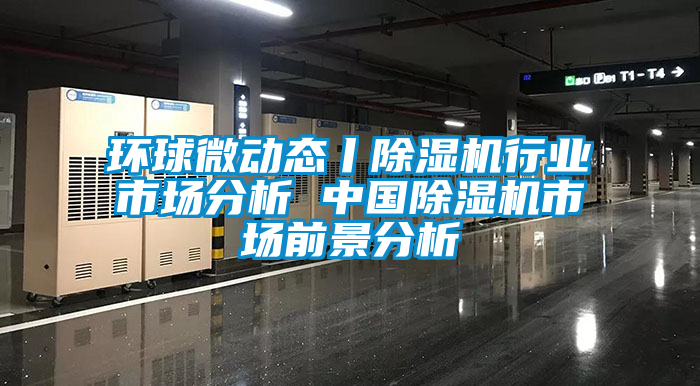 環(huán)球微動(dòng)態(tài)丨除濕機(jī)行業(yè)市場(chǎng)分析 中國除濕機(jī)市場(chǎng)前景分析