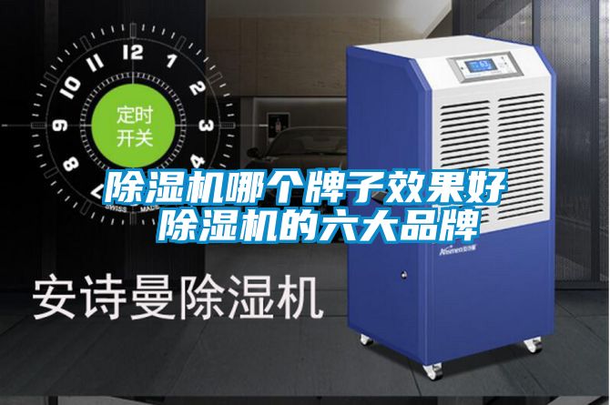 除濕機(jī)哪個牌子效果好 除濕機(jī)的六大品牌